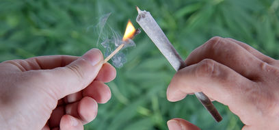 Marihuana – ľahká droga s ťažkými rizikami